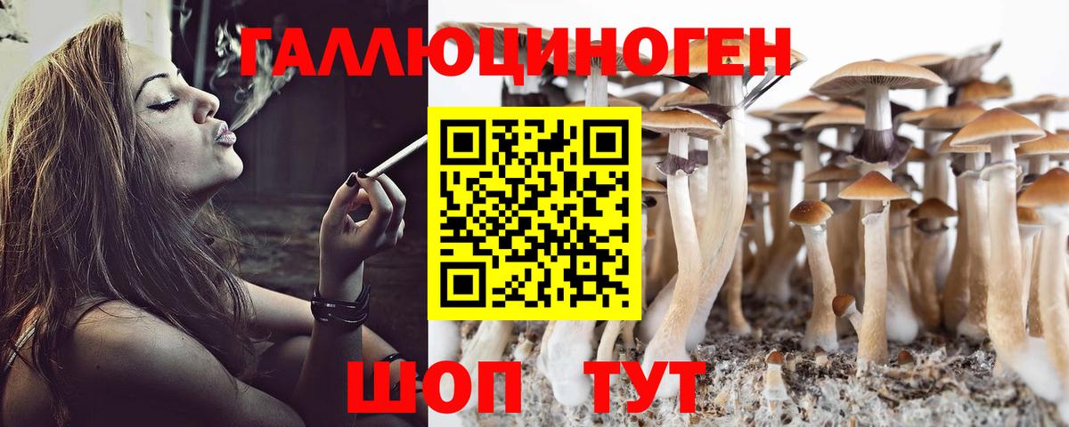 Псилоцибиновые грибы мухоморы  Псилоцибиновые грибы Psilocybe  Вход с VPN  Скопин 