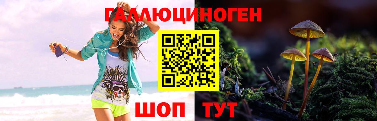 Псилоцибиновые грибы MAGIC MUSHROOMS Скопин