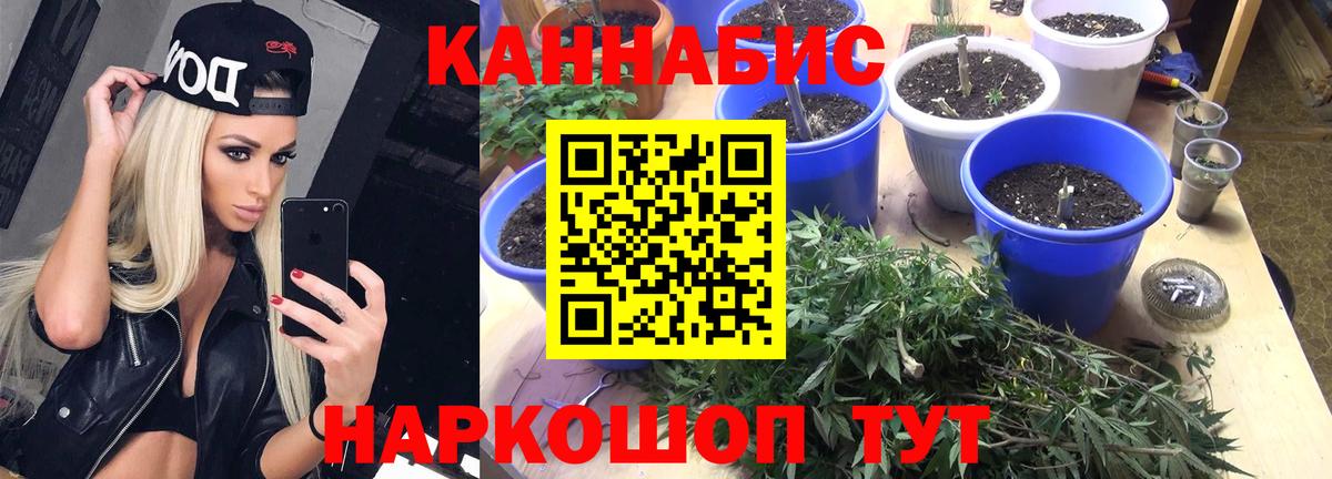 МАРИХУАНА Amnesia  Конопля OG Kush  Скопин  Вход с VPN  Бошки марихуана OG Kush 